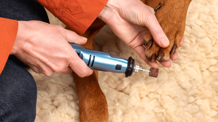 dog nail clipping - nail grinders