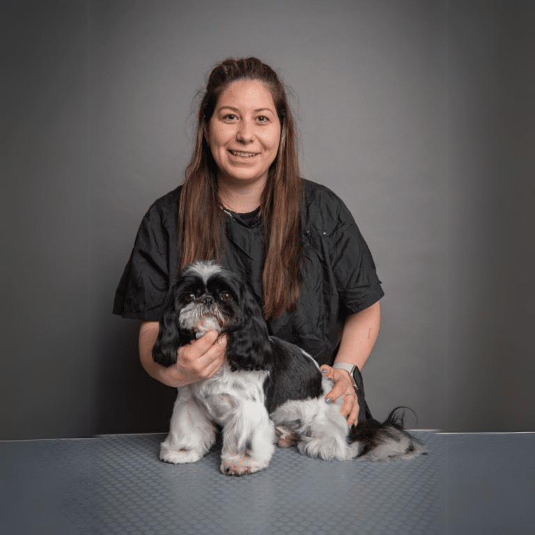 Woodham Mortimer dog groomers - A smiling female dog groomer with long brown hair, wearing a black shirt, is holding a black and white Shih Tzu dog on a grooming table against a gray background.