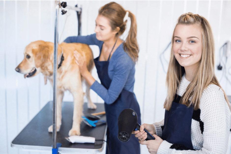 dog groomers nearby Latchingdon - Two young women grooming a Golden Retriever on a grooming table, one using a brush and the other holding a hairdryer, both smiling and wearing aprons.
