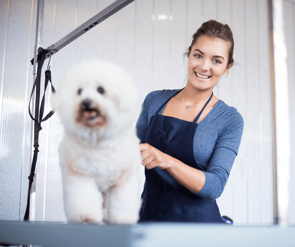 dog grooming near tiptree - a female dog groomer with a friendly smile is grooming a fluffy white dog. she is wearing a blue long-sleeve shirt and a dark apron, standing behind a grooming table. the dog is slightly out of focus in the foreground, while the woman and the grooming equipment are in focus in the background.
