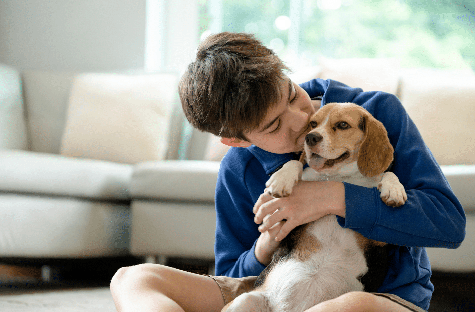 dog grooming near heybridge - Smiling boy in a blue hoodie sitting on the floor, hugging and kissing a happy Beagle dog in a cozy living room with a sofa and window in the background.