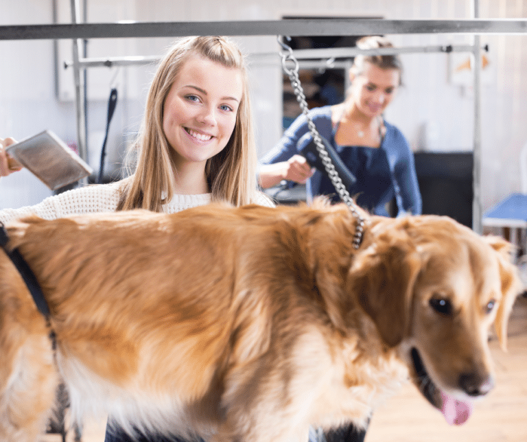 dog grooming services near Danbury - A young woman smiling while grooming a golden retriever on a grooming table, with another person using a hair dryer in the background